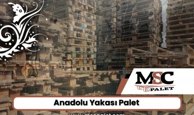 Anadolu Yakası Palet