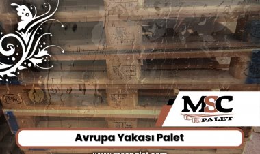 Avrupa Yakası Palet