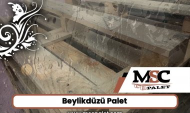Beylikdüzü Palet