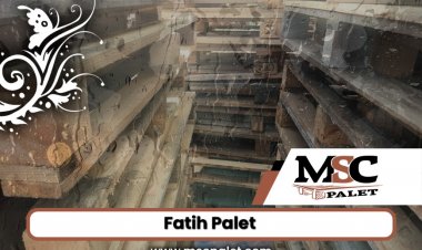 Fatih Mahallesi Palet