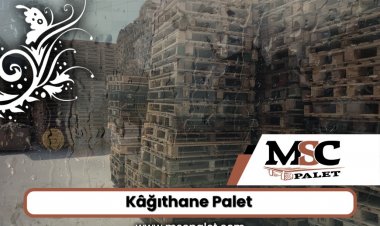 Kâğıthane Palet