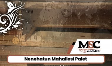 Nenehatun Mahallesi Palet