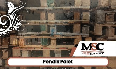 Pendik Palet