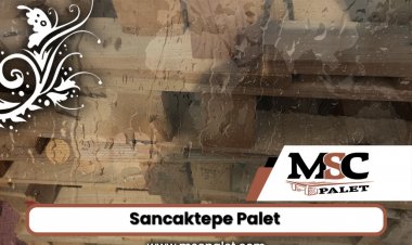 Sancaktepe Palet