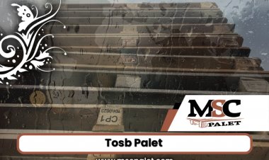 Tosb Palet