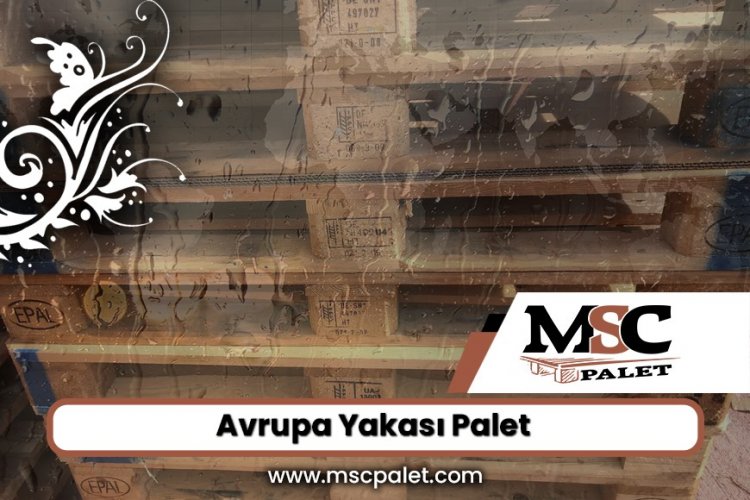 Avrupa Yakası Palet