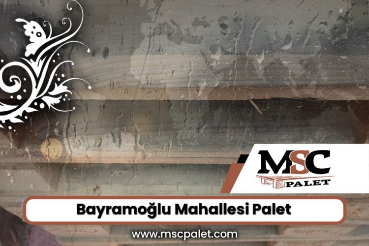 Bayramoğlu Mahallesi Palet