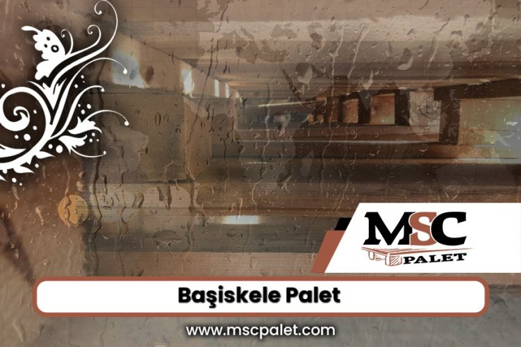Başiskele Palet