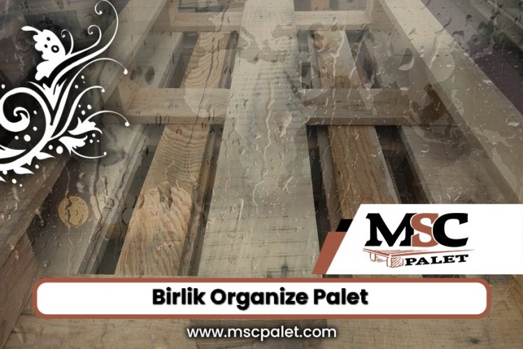 Birlik Organize Palet