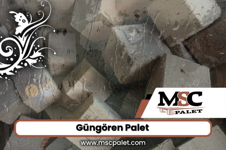 Güngören Palet