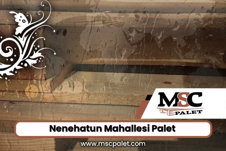 Nenehatun Mahallesi Palet